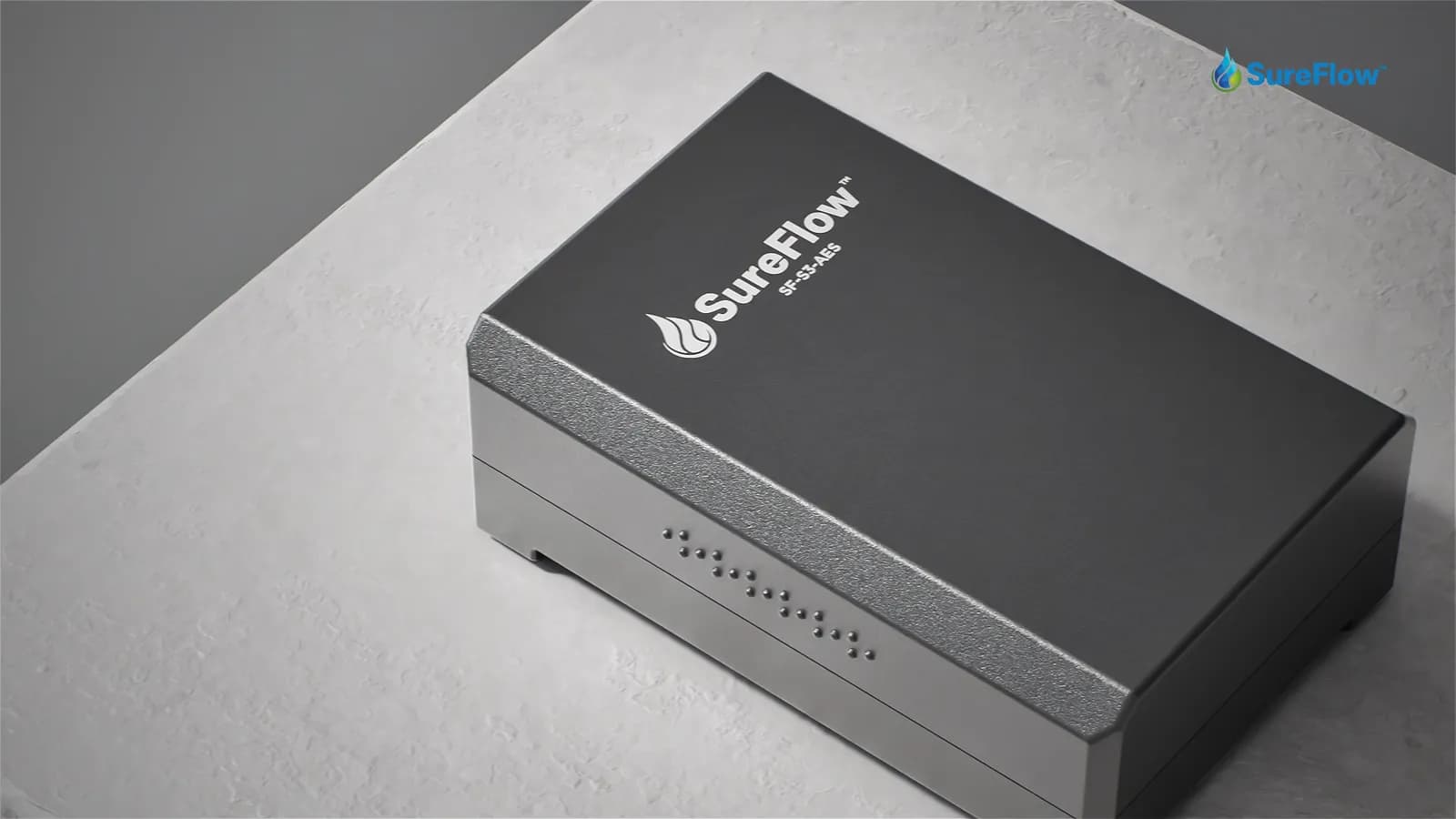 The Hidden Danger in the Properties: Why Mould Detection Matters